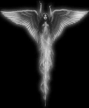 ange